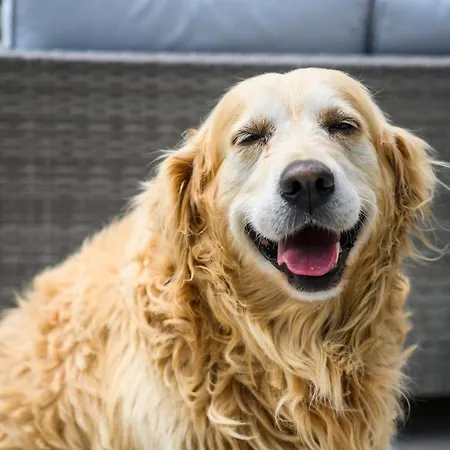 Mila And Jurija Formenti 2 Apartments In Heart Of Nautic Marina, With Heated Swimming Pool May Till October, Bikes, Sup, Kajak, Free Parking In Our Garden *