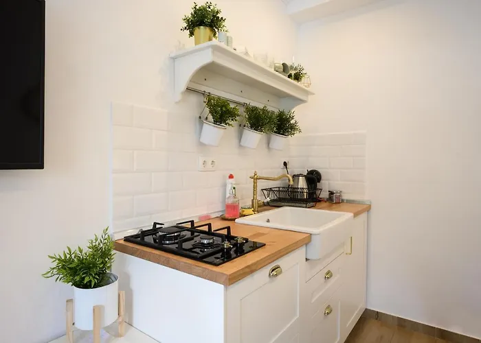 Mila And Jurija Formenti 2 Apartments In Heart Of Nautic Marina, With Heated Swimming Pool May Till October, Bikes, Sup, Kajak, Free Parking In Our Garden Apartment *