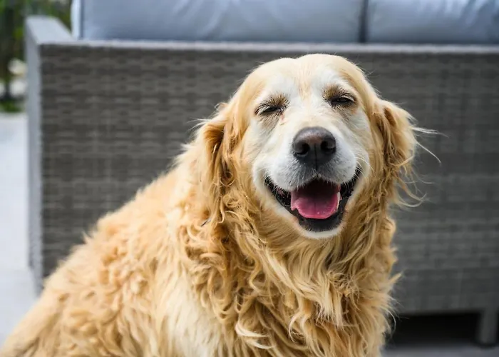 Mila And Jurija Formenti 2 Apartments In Heart Of Nautic Marina, With Heated Swimming Pool May Till October, Bikes, Sup, Kajak, Free Parking In Our Garden *